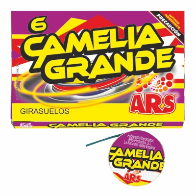 Camelia Grande 6uds